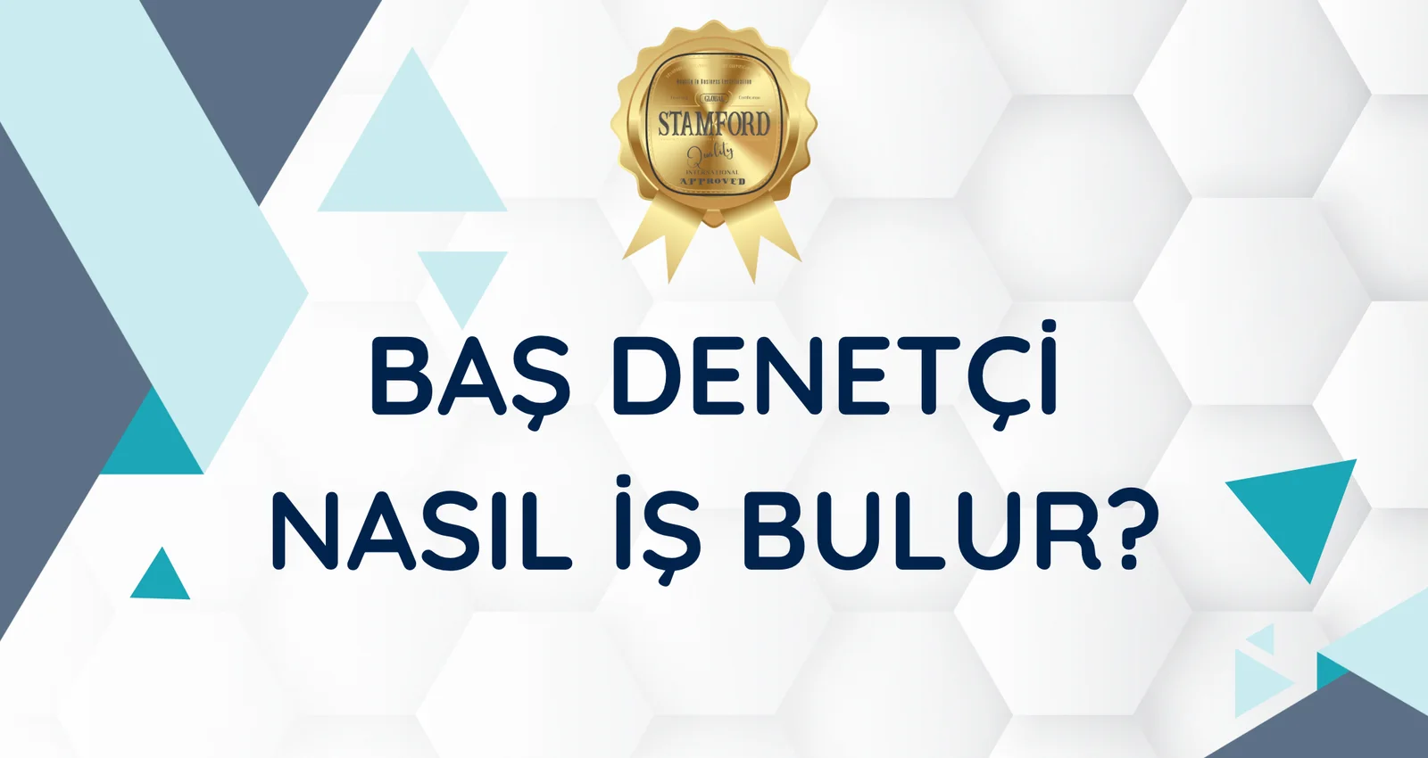 Baş Denetçi Nasıl iş Bulur? Baş Denetçi İş Aramaz İş Yaratır