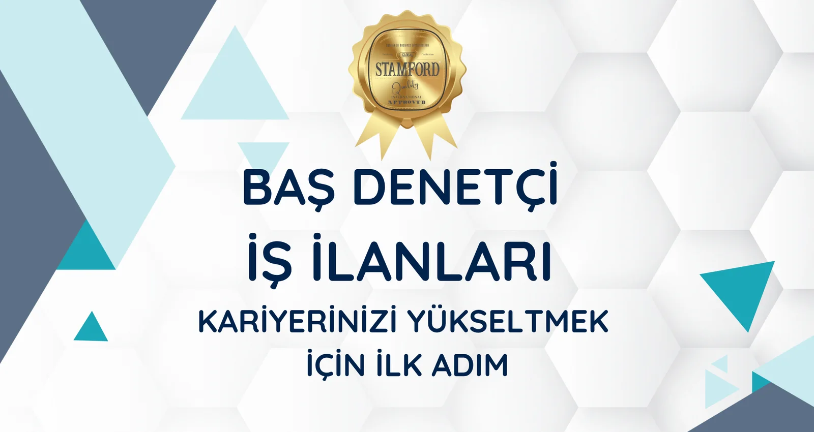 Baş Denetçi iş ilanları