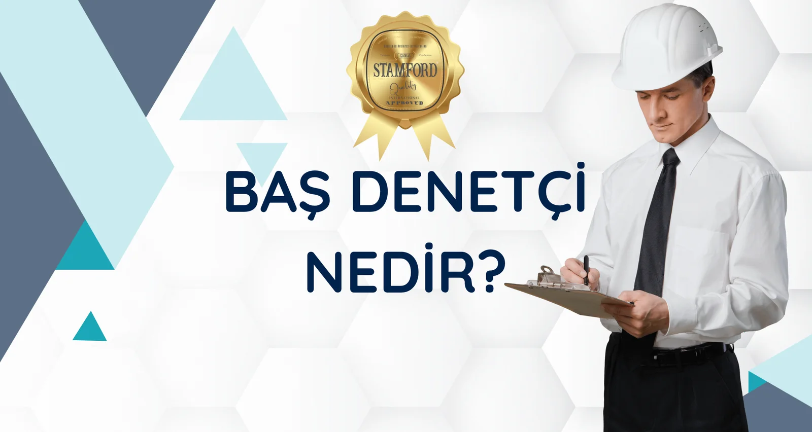 Baş Denetçi Nedir?