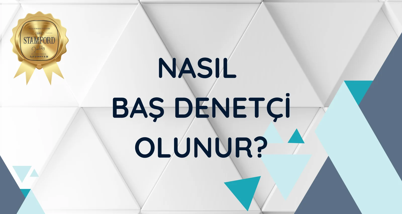 Nasıl Baş Denetçi Olunur?