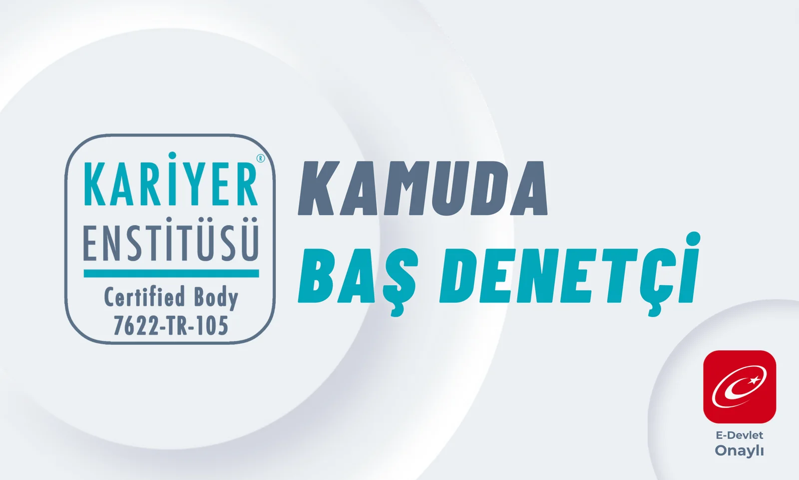 Kamuda Baş Denetçilik