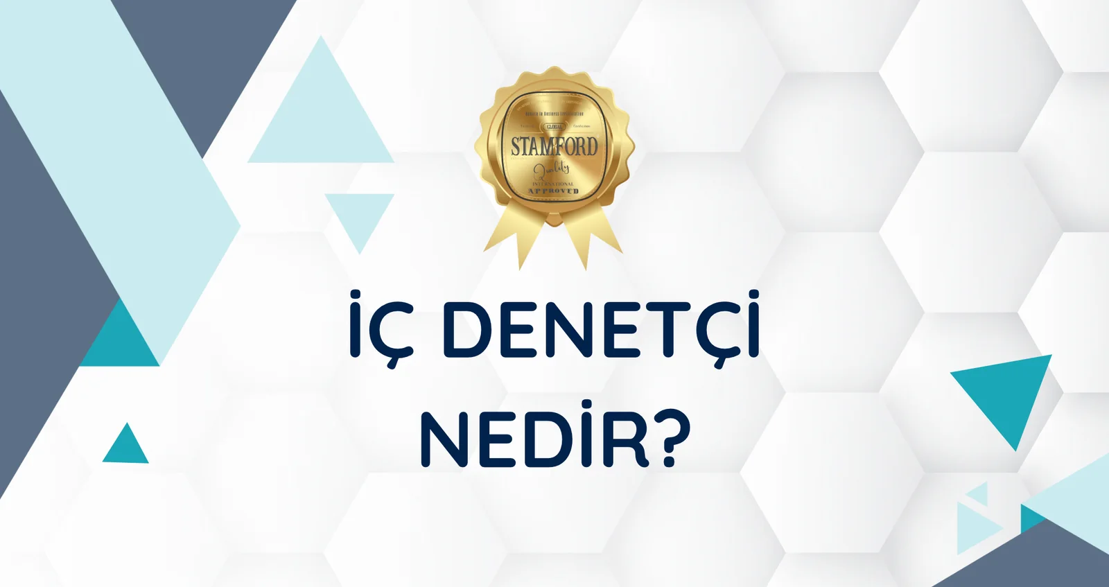 İç Denetçi Nedir?